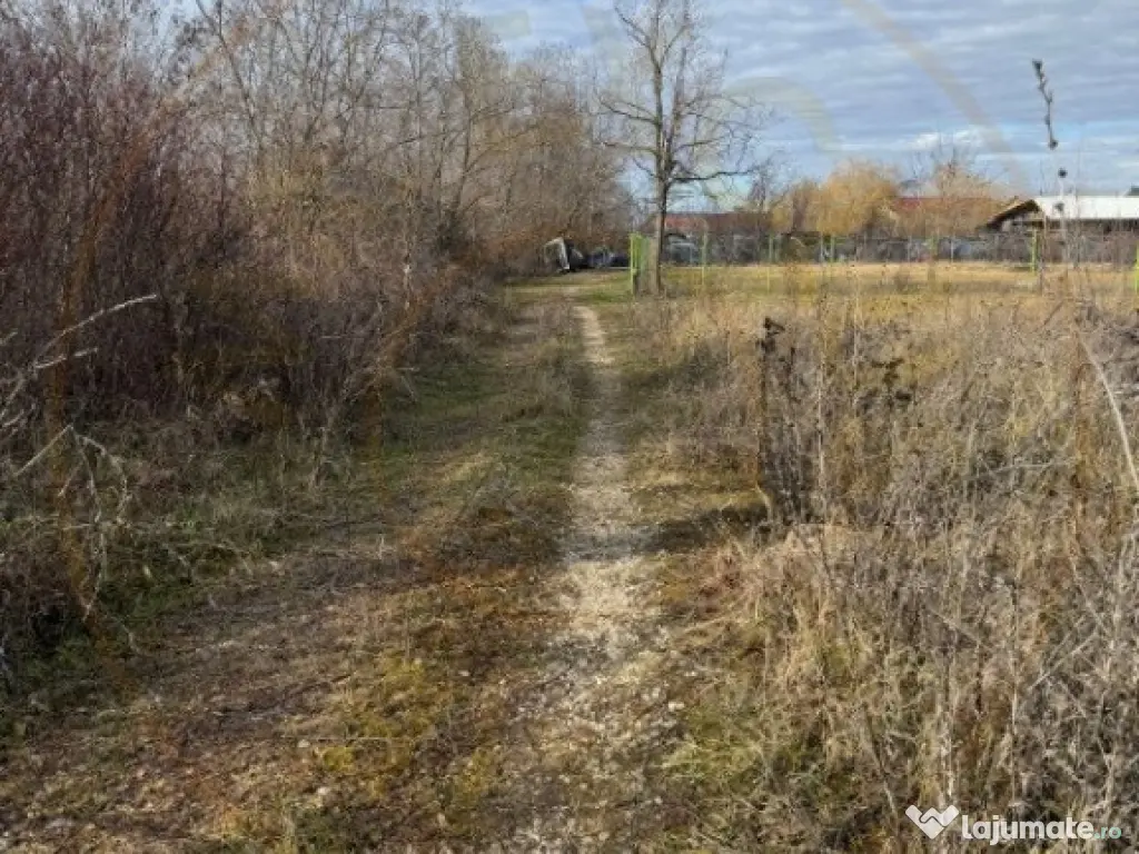 Comision 0 - Teren intravilan Prundu - Bananai - 2939 mp