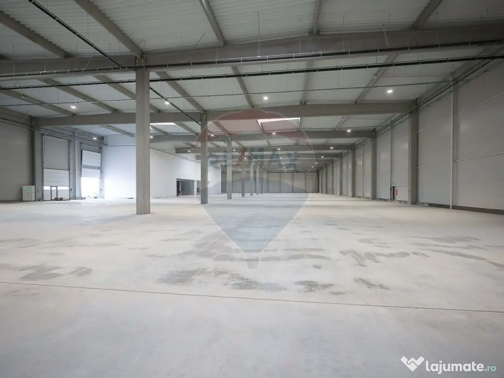 Hală de vânzare, Sc 7014mp, Zona Biharia