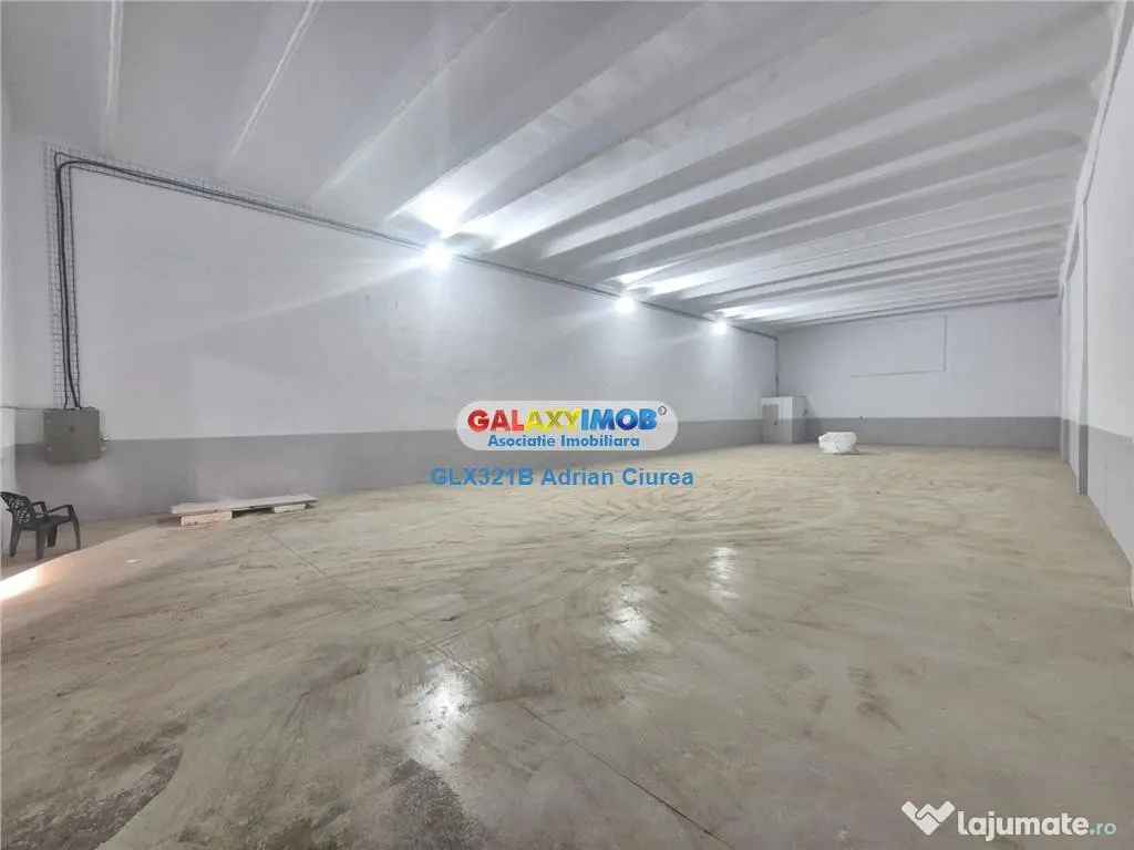 Hala depozitare/productie/industrial 700mp Splai Centura Buc 