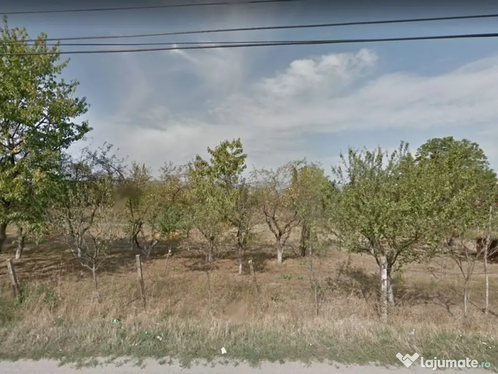 Teren extravilan, Sebes, Jud. Alba -id 9910 