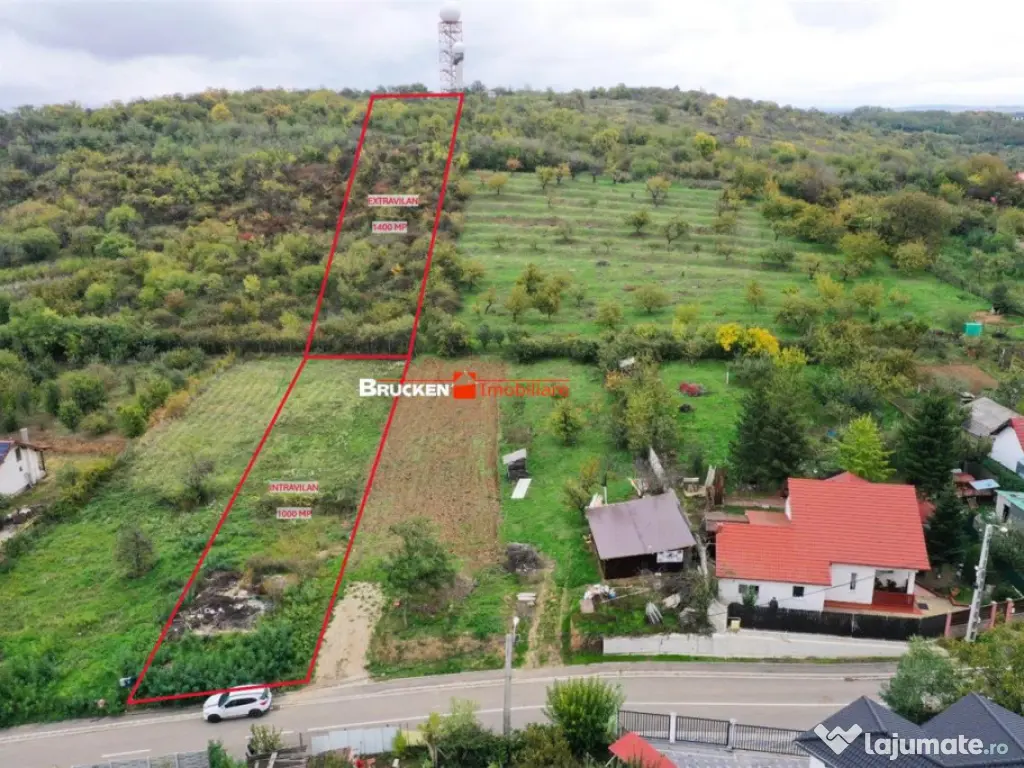 TEREN GENEROS | STR. PIERSICILOR