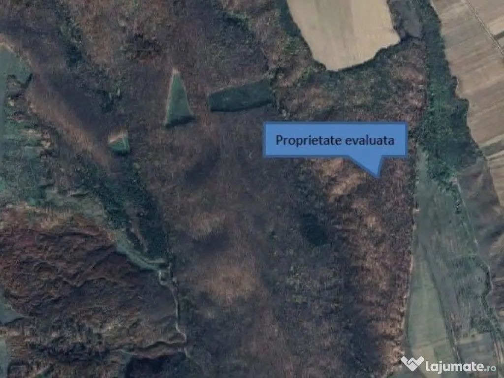 Teren extravilan padure, cota parte de 1/48 Horgesti, ID:... 