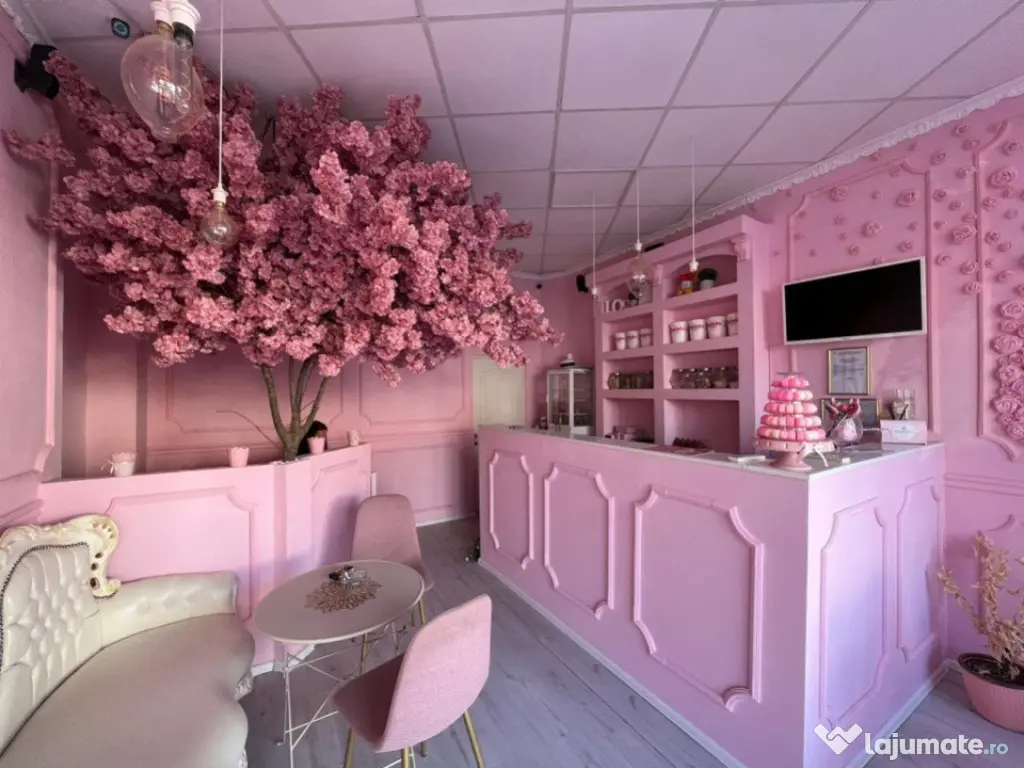 Spatiu Comercial 45 mp Mihai Eminescu Dacia Piata Romana 