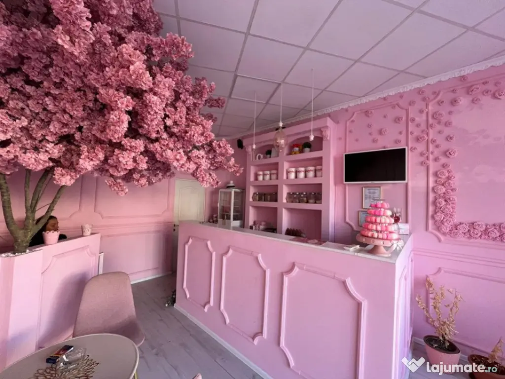 Spatiu Comercial 45 mp Mihai Eminescu Dacia Piata Romana 