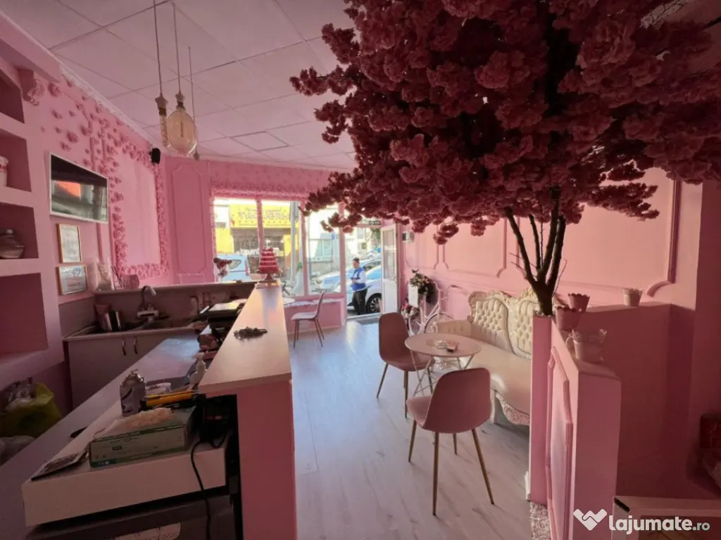 Spatiu Comercial 45 mp Mihai Eminescu Dacia Piata Romana 