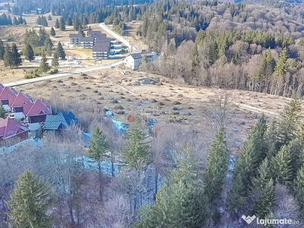 Teren 28.000mp Poiana MIca intre Monterai si Grand Chalet 