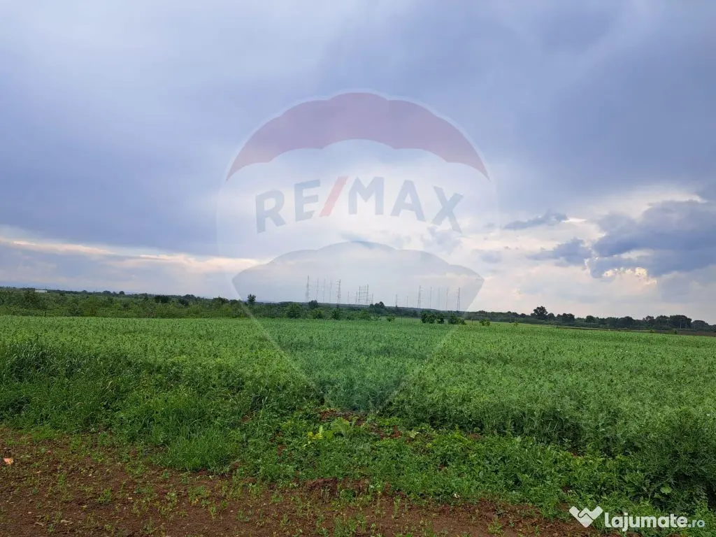 Teren Ciolpani 15.000 mp oportunitate posibilitate lotiza... 