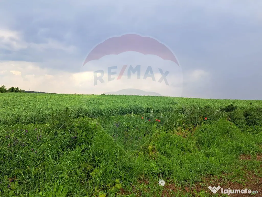 Teren Ciolpani 15.000 mp oportunitate posibilitate lotiza... 