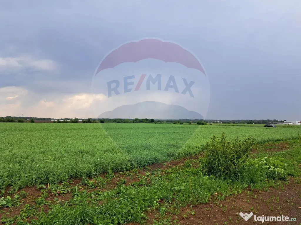 Teren Ciolpani 15.000 mp oportunitate posibilitate lotiza... 