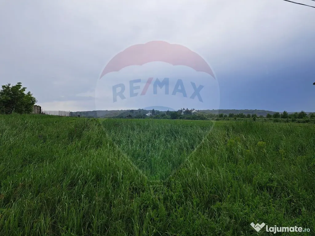 Teren Ciolpani 15.000 mp oportunitate posibilitate lotiza... 