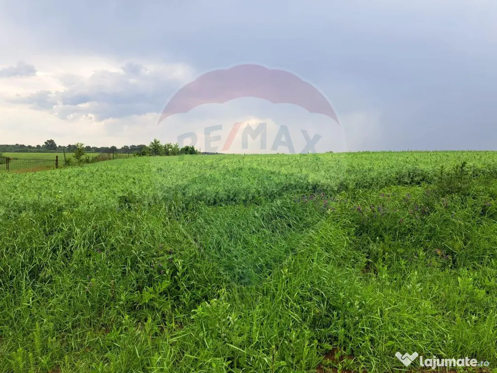 Teren Ciolpani 15.000 mp oportunitate posibilitate lotiza... 