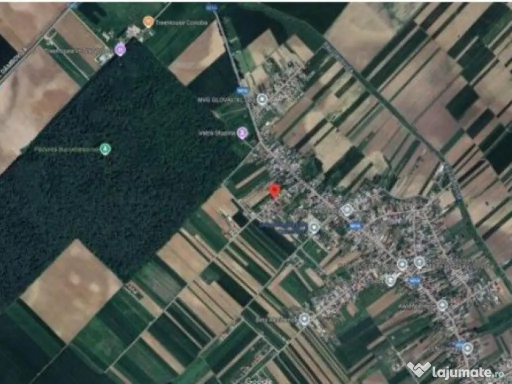 Casa si Teren Cosoba, ID: R2374849 