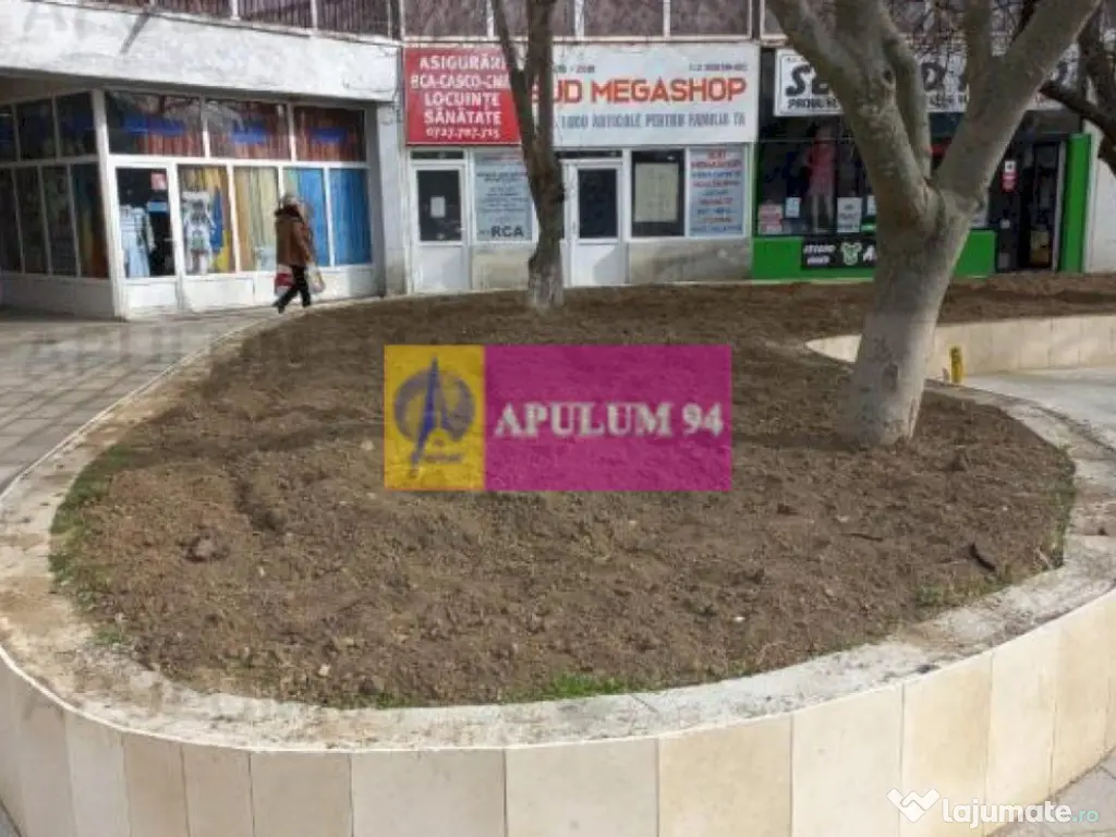 Ocazie ! spatiu comercial Alexandria 