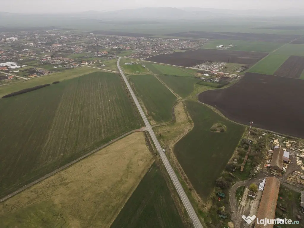 Teren 76.000mp între Sântana și Caporal Alexa 