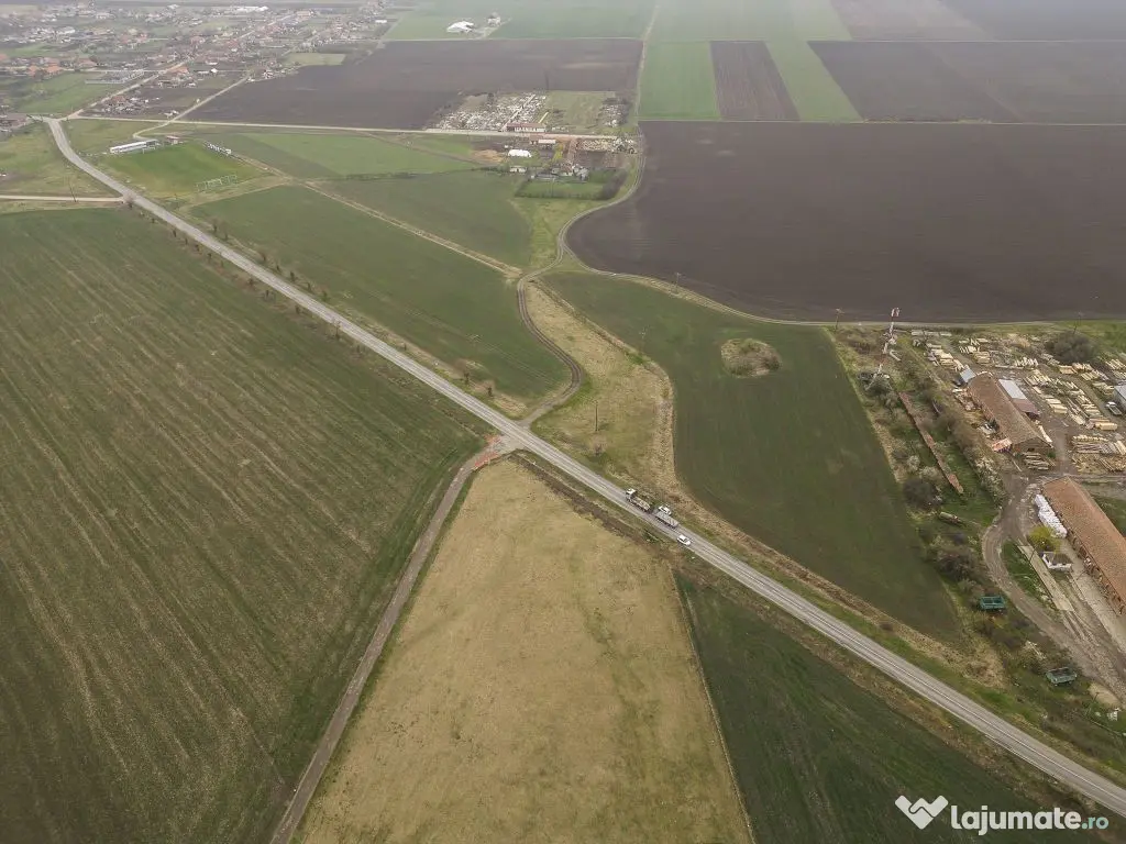 Teren 76.000mp între Sântana și Caporal Alexa 