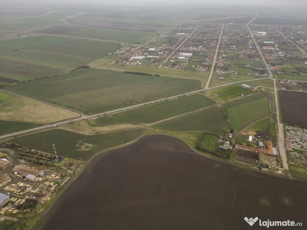 Teren 76.000mp între Sântana și Caporal Alexa 