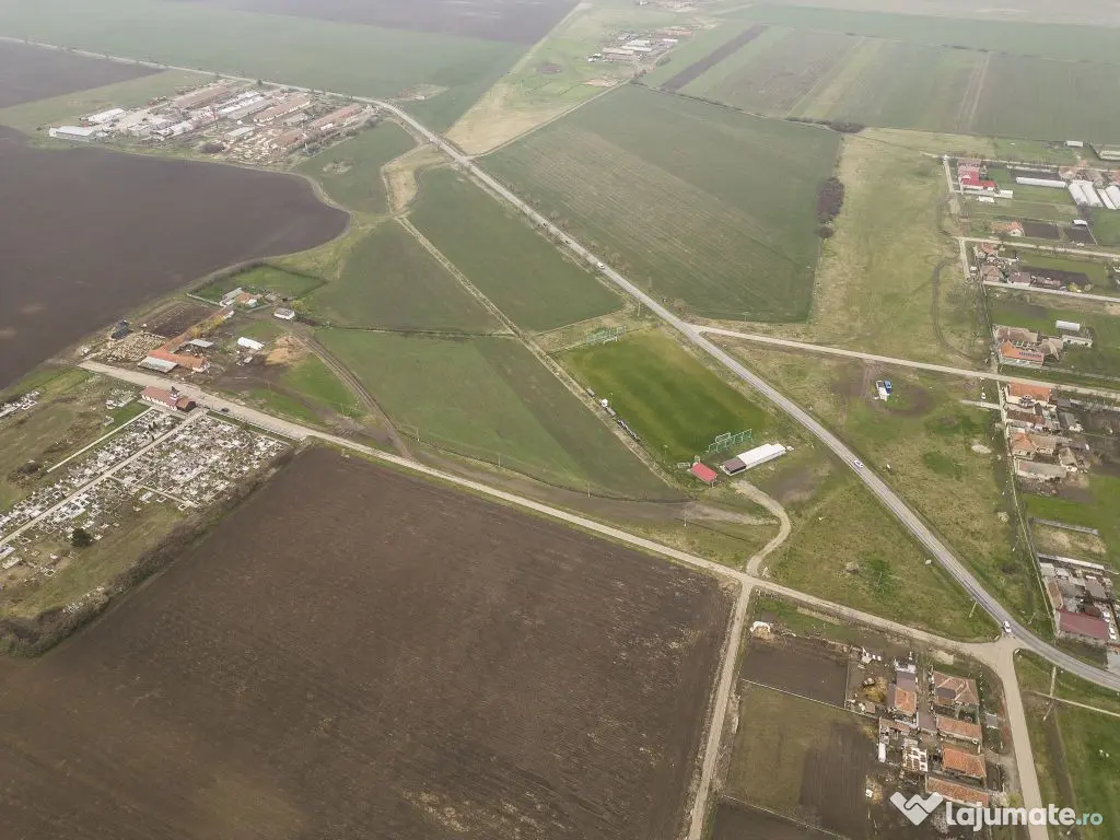 Teren 76.000mp între Sântana și Caporal Alexa 