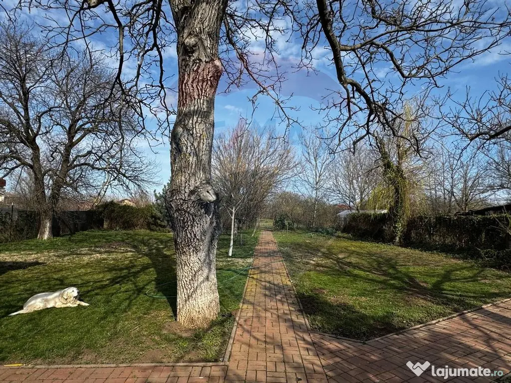 Casă de vânzare cu livadă și piscină – Giurgiu 