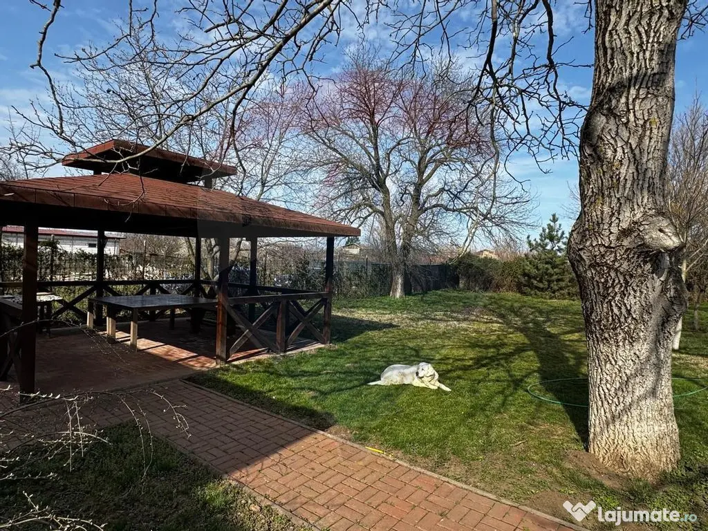 Casă de vânzare cu livadă și piscină – Giurgiu 