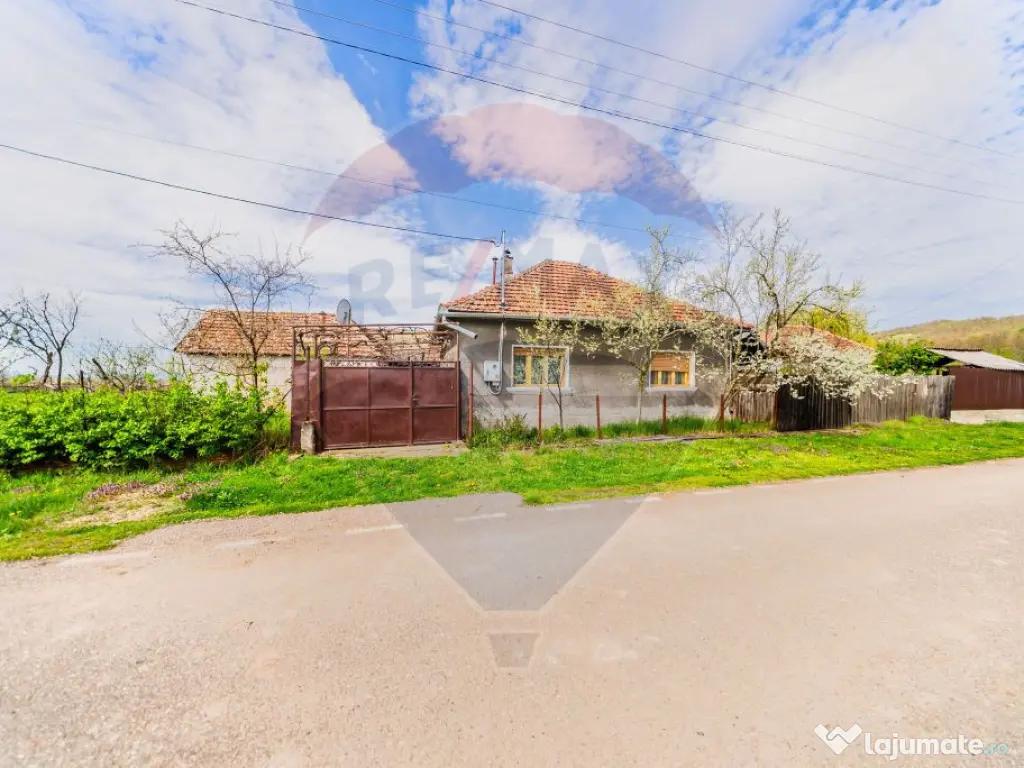 Casă cu teren 4500mp de vanzare in Carand Jud. Arad 