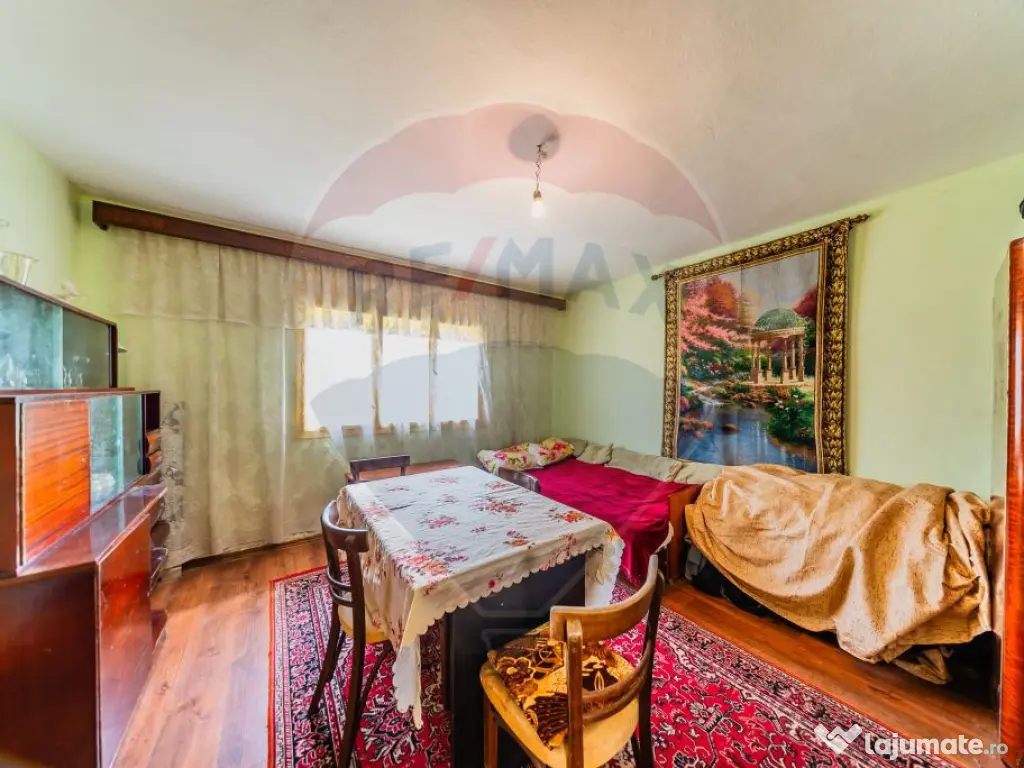 Casă cu teren 4500mp de vanzare in Carand Jud. Arad 