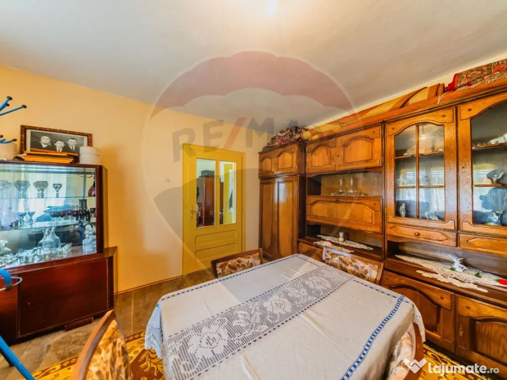 Casă cu teren 4500mp de vanzare in Carand Jud. Arad 