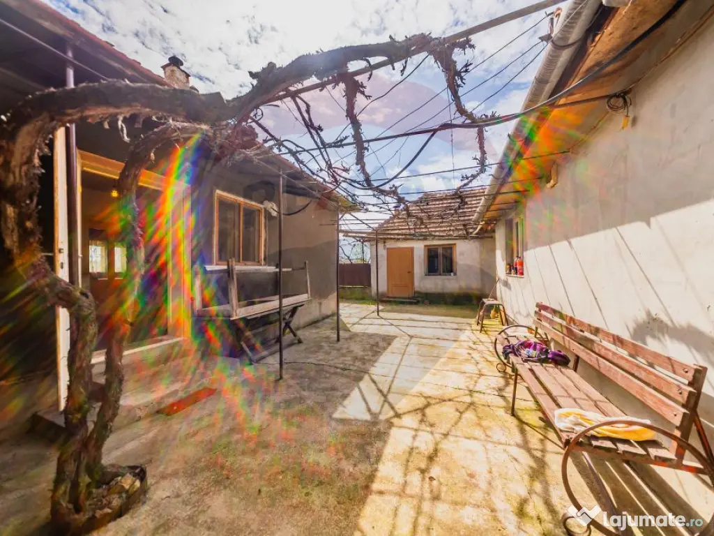 Casă cu teren 4500mp de vanzare in Carand Jud. Arad 