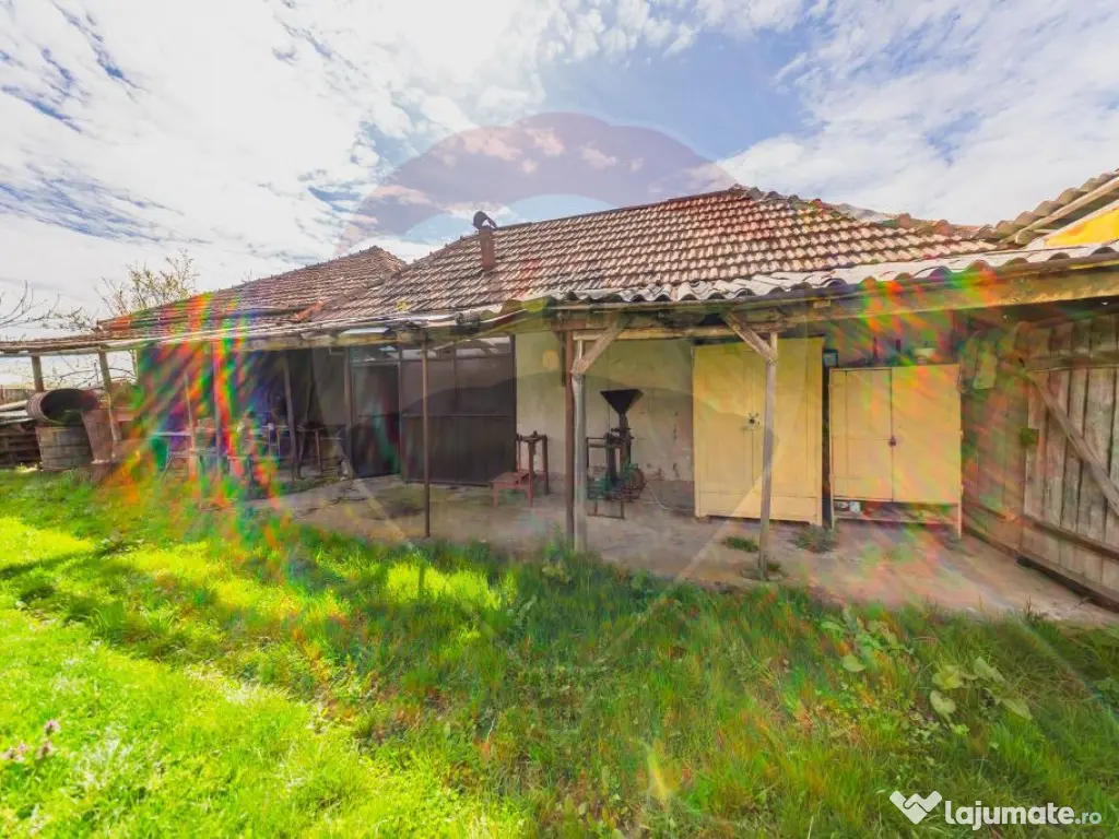 Casă cu teren 4500mp de vanzare in Carand Jud. Arad 