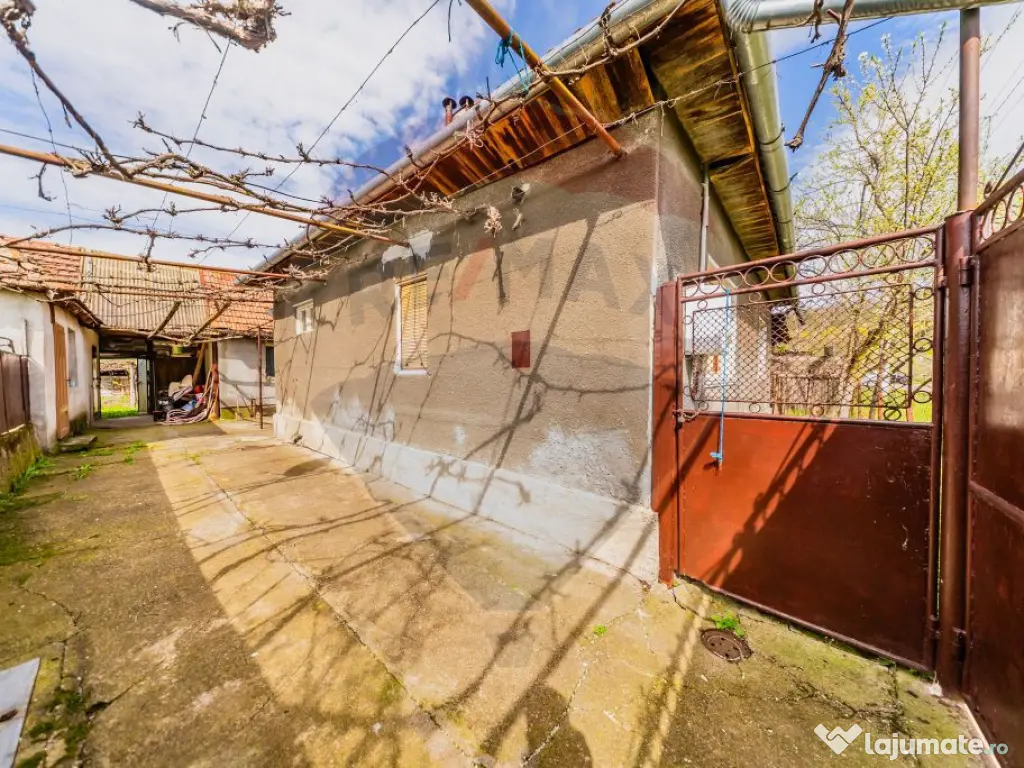 Casă cu teren 4500mp de vanzare in Carand Jud. Arad 