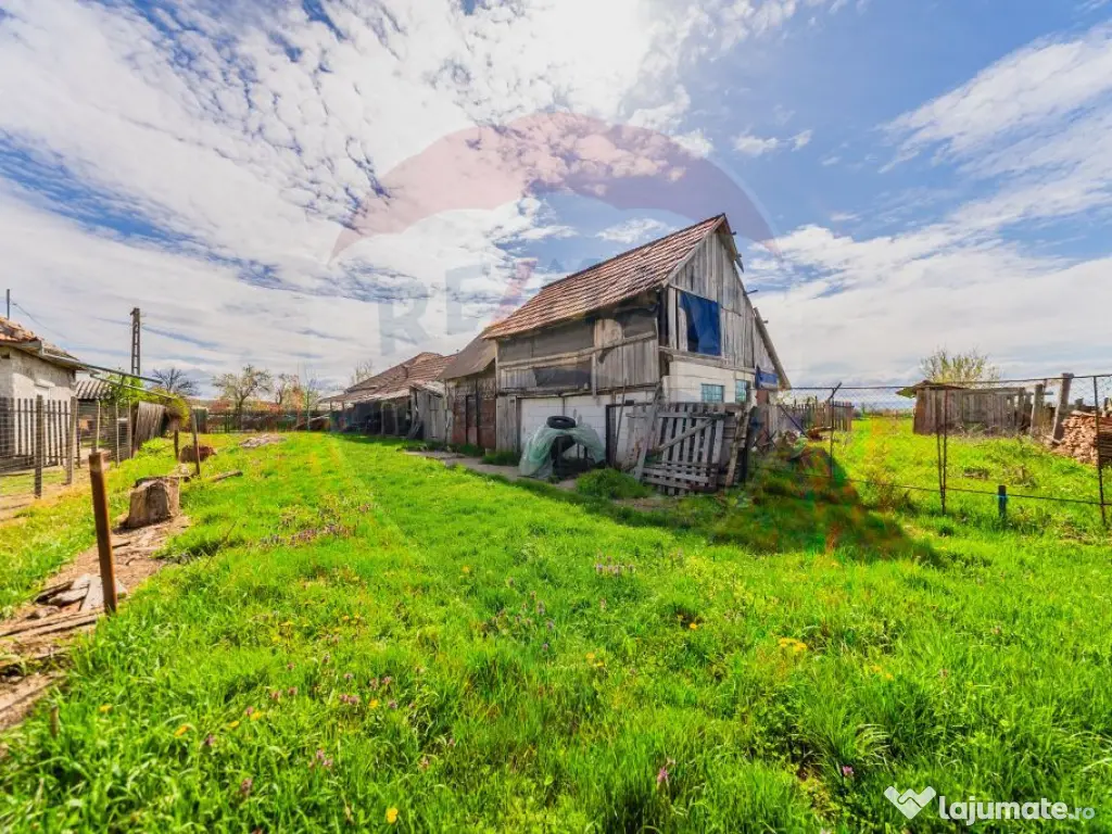 Casă cu teren 4500mp de vanzare in Carand Jud. Arad 