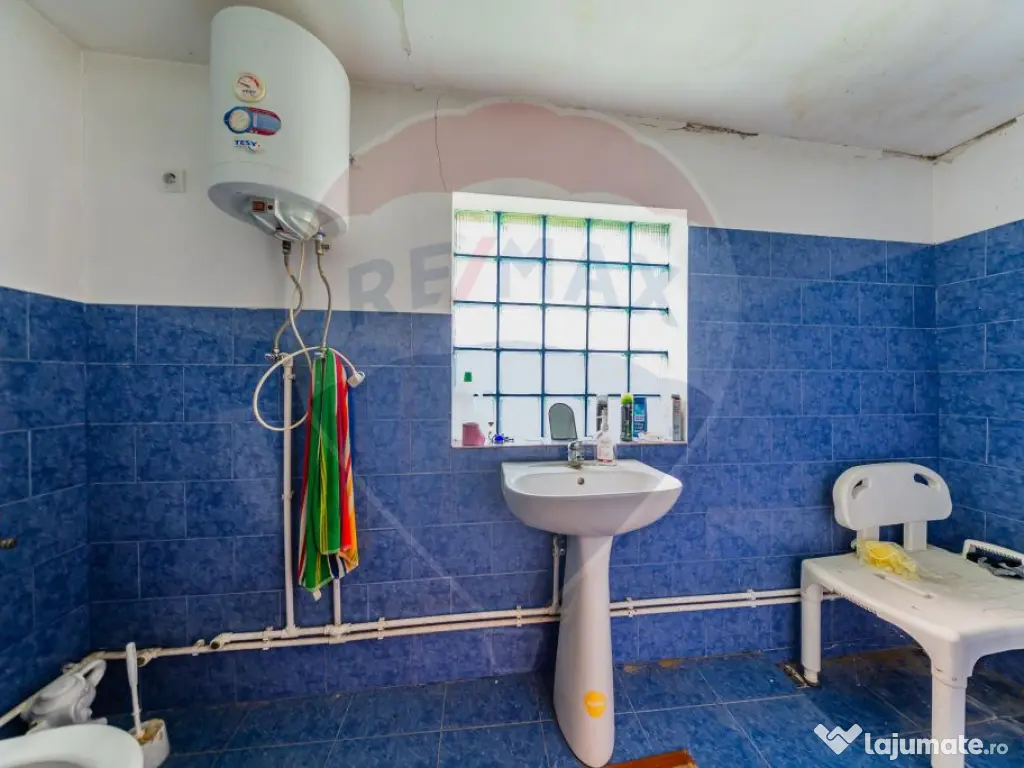 Casă cu teren 4500mp de vanzare in Carand Jud. Arad 