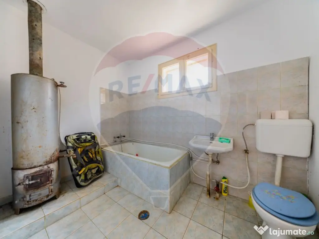 Casă cu teren 4500mp de vanzare in Carand Jud. Arad 