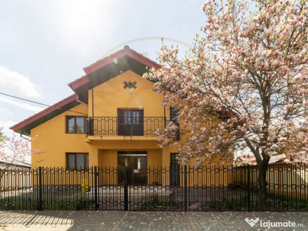 Vila - Piscina - Bradu! 