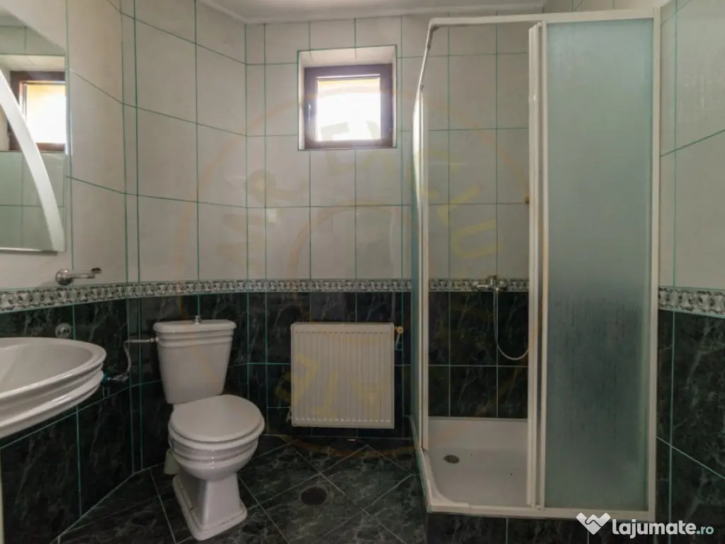 Vila - Piscina - Bradu! 