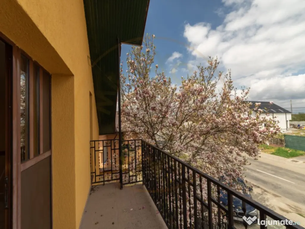 Vila - Piscina - Bradu! 