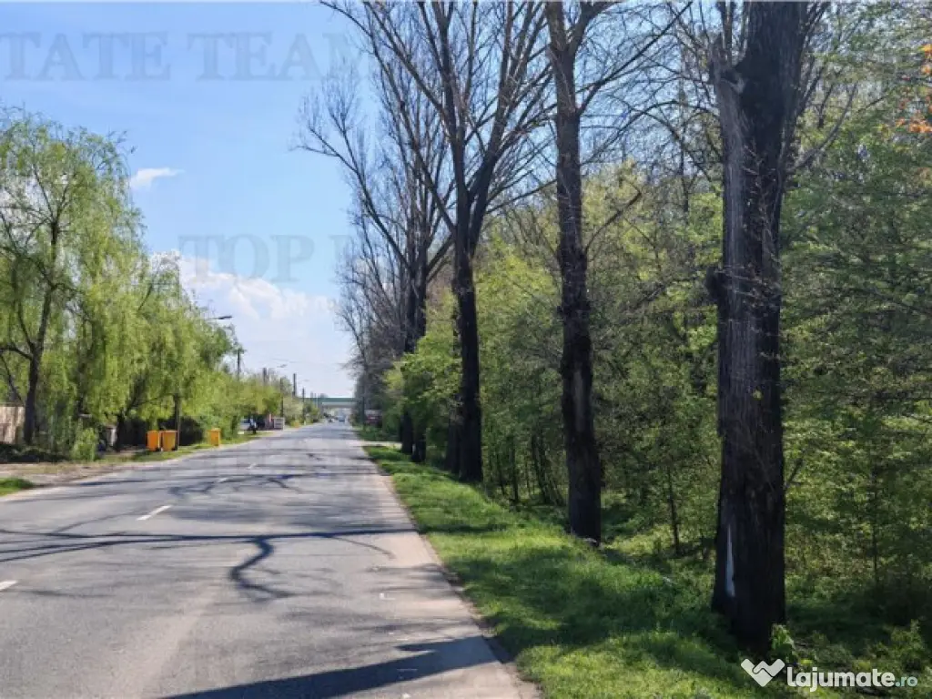 Teren constructii, 650 mp, langa padure, apa, gaze, curent,