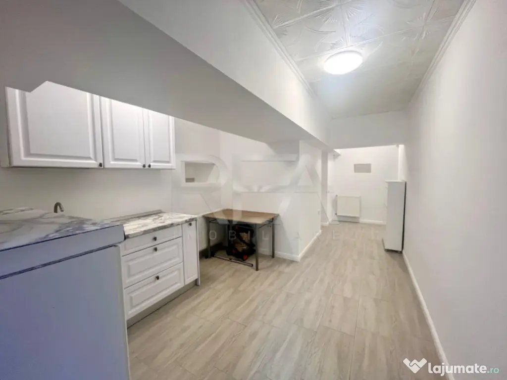 Apartament /spatiu comercial 2 camere demisol Ferdinand 