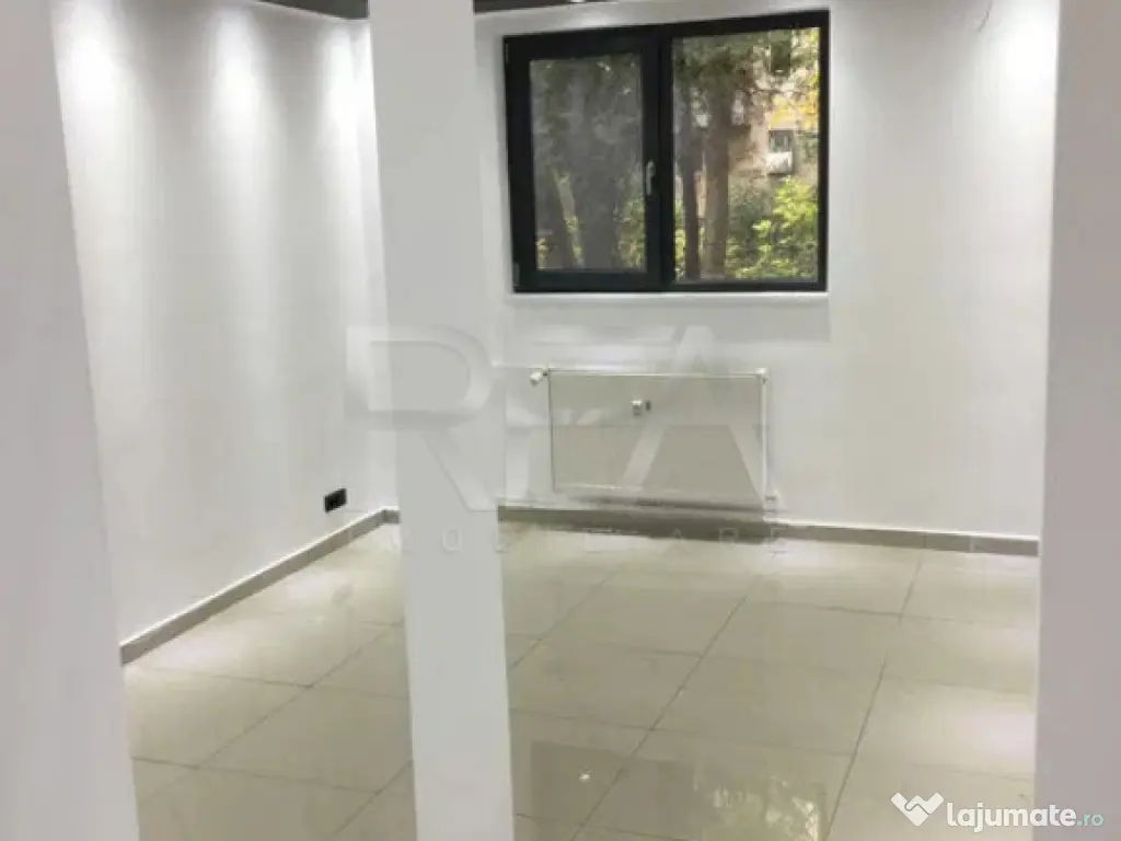 Spațiu Comercial Drumul Taberei – Vad Comercial Intens