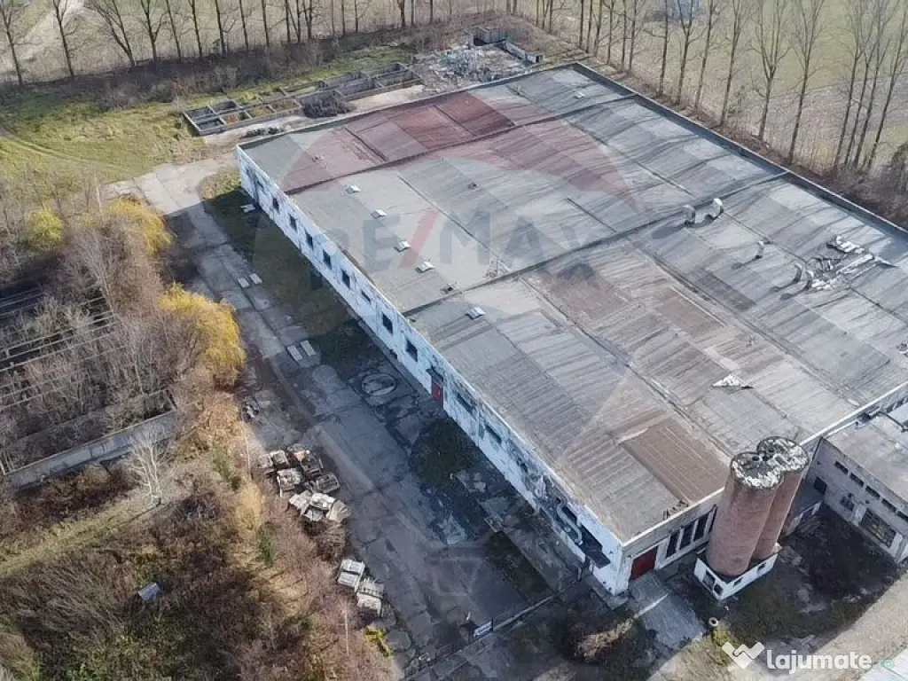Spațiu industrial - de vânzare - GURA HUMORULUI