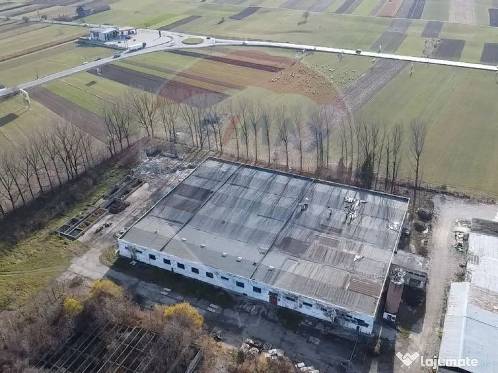 Spațiu industrial - de vânzare - GURA HUMORULUI