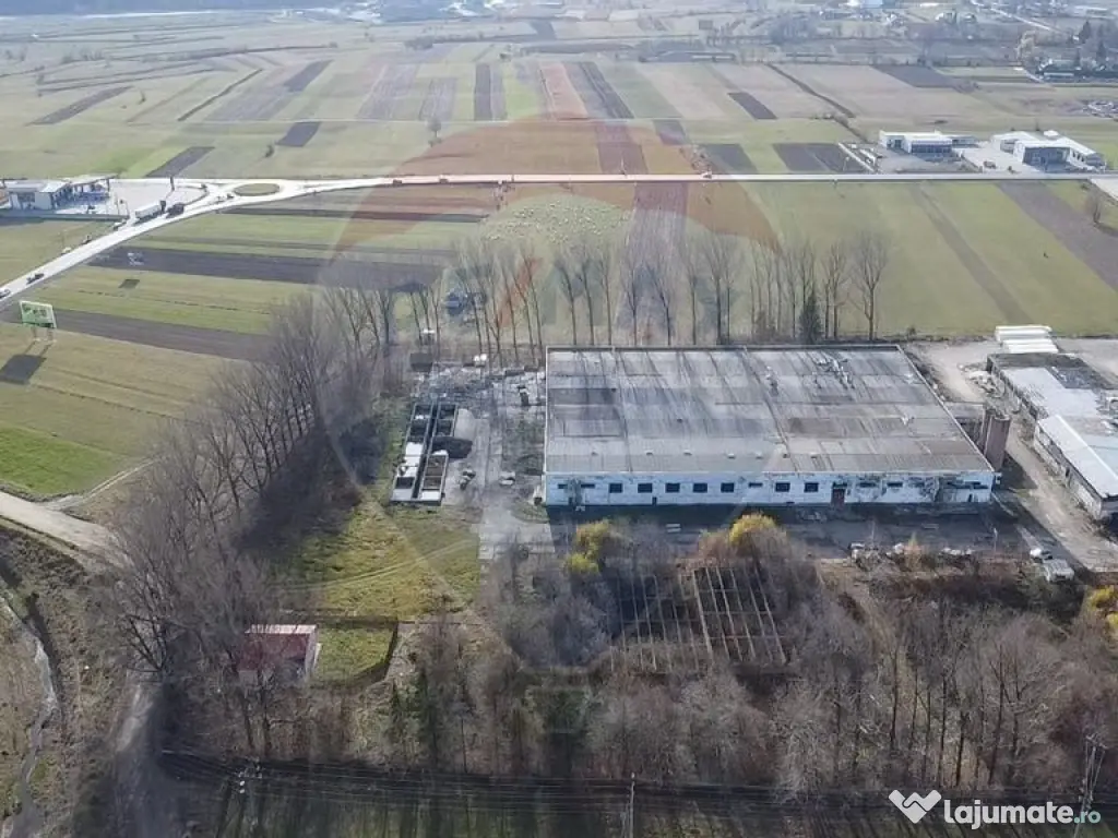 Spațiu industrial - de vânzare - GURA HUMORULUI