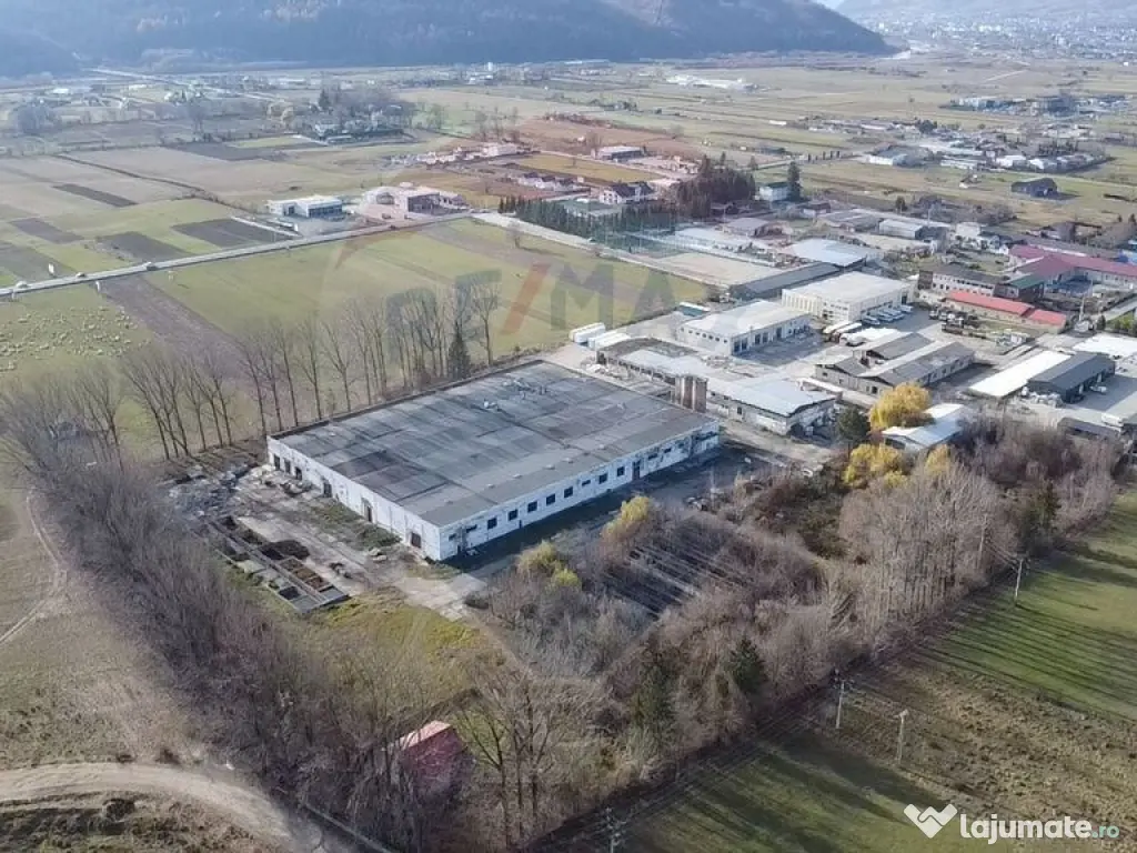 Spațiu industrial - de vânzare - GURA HUMORULUI