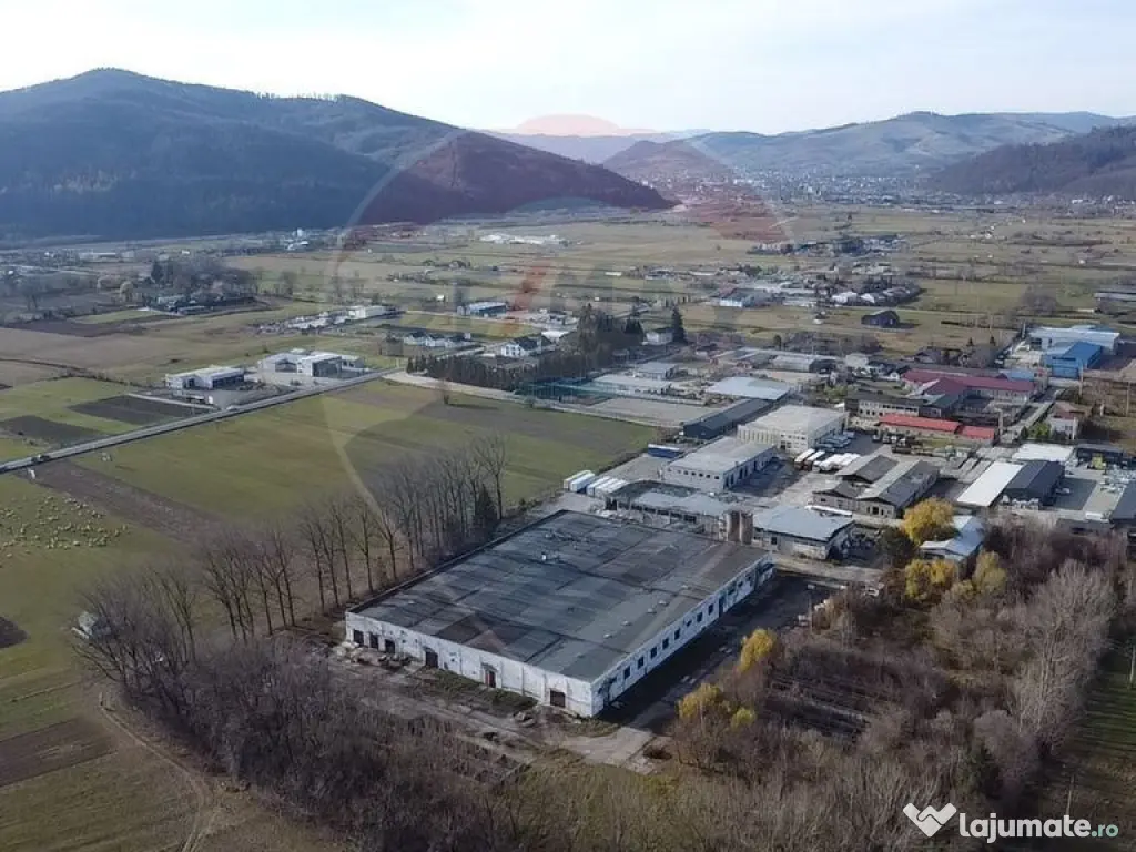 Spațiu industrial - de vânzare - GURA HUMORULUI