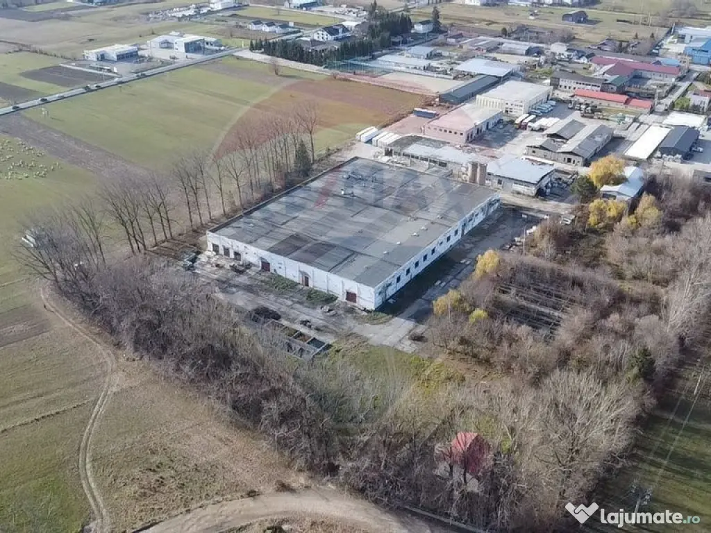Spațiu industrial - de vânzare - GURA HUMORULUI