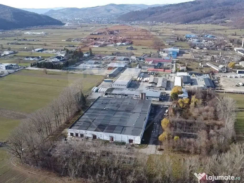 Spațiu industrial - de vânzare - GURA HUMORULUI