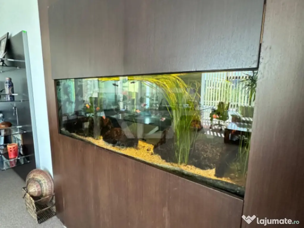 Spațiu Comercial | Investiție Solida | Chirias Activ | Spl