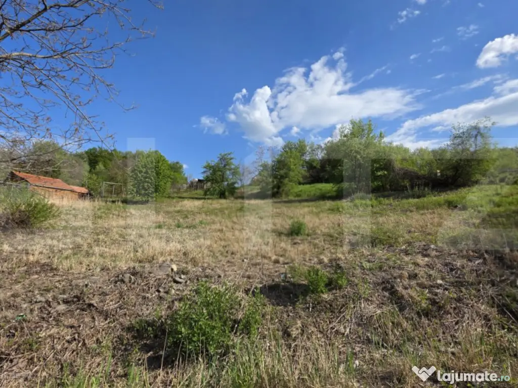 Teren Intravilan de vanzare, 900 mp, zona Valea Jelnei