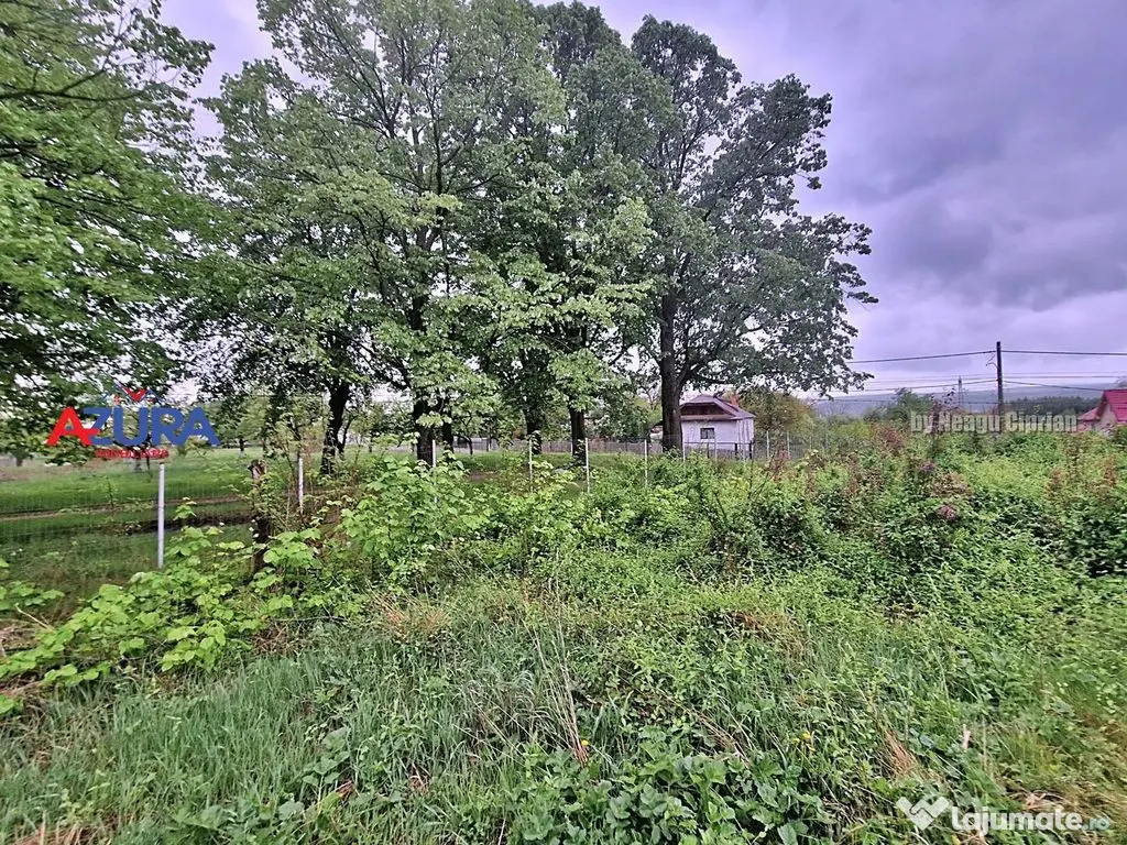 AZURA Imobiliare - Budeasa, Teren 5.069 mp, Casa BONUS 