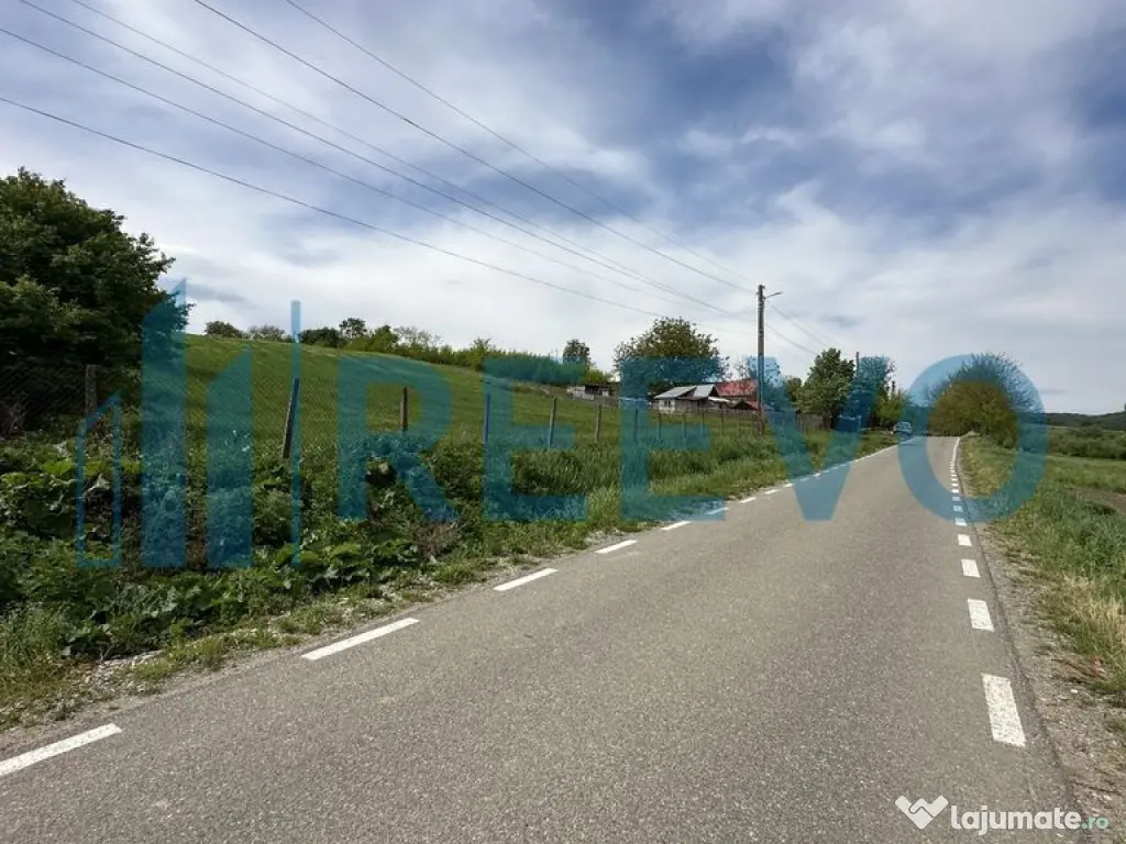 Teren de vânzare, Sat Valea Mare, Com. Roșiori, Bacău