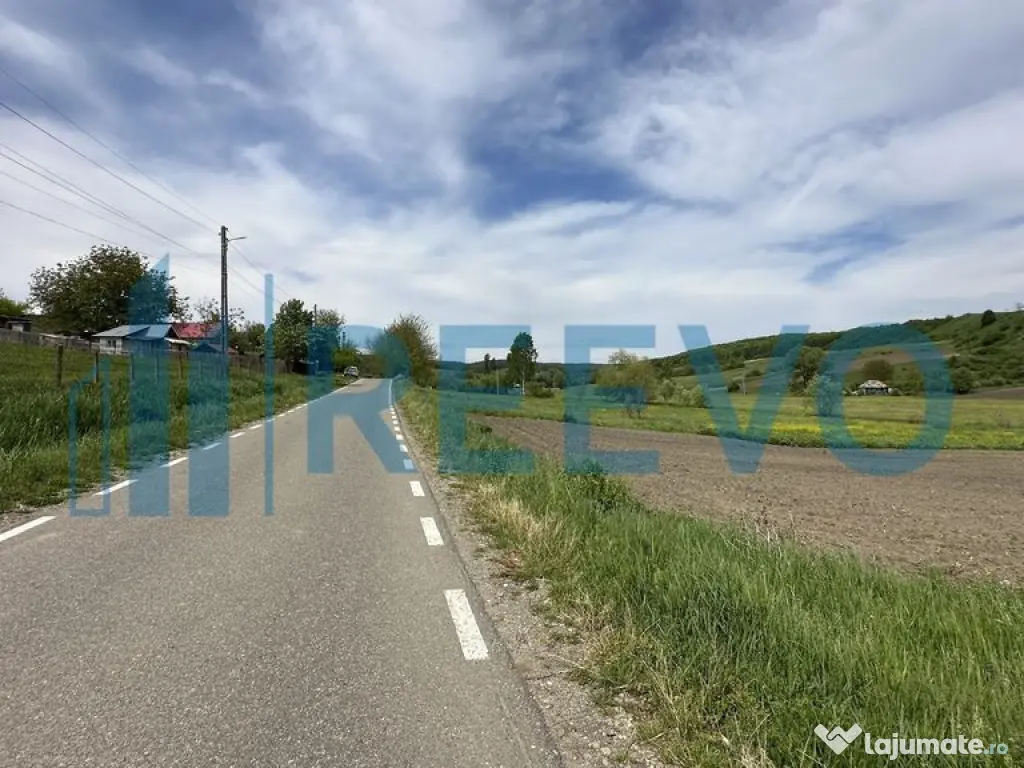 Teren de vânzare, Sat Valea Mare, Com. Roșiori, Bacău